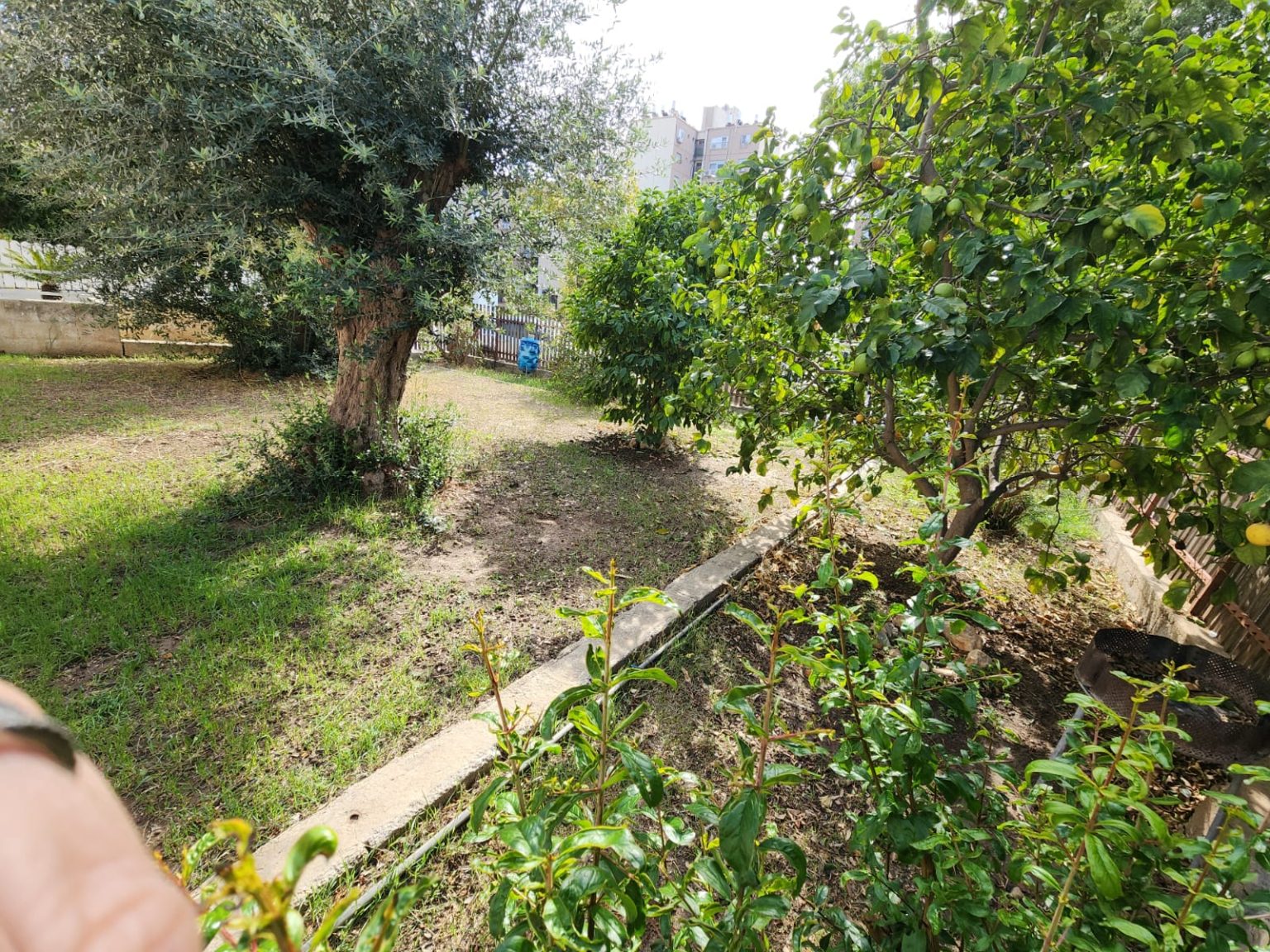 WhatsApp Image 2025-11-18 at 13.01.39