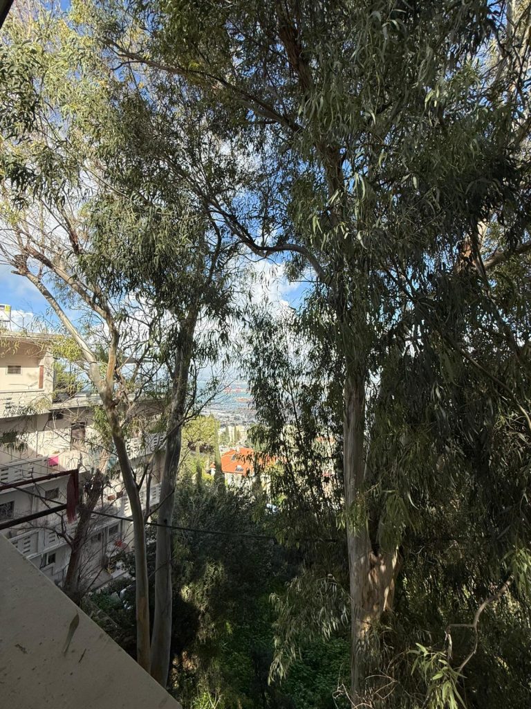 WhatsApp Image 2026-02-05 at 14.28.17 (4)