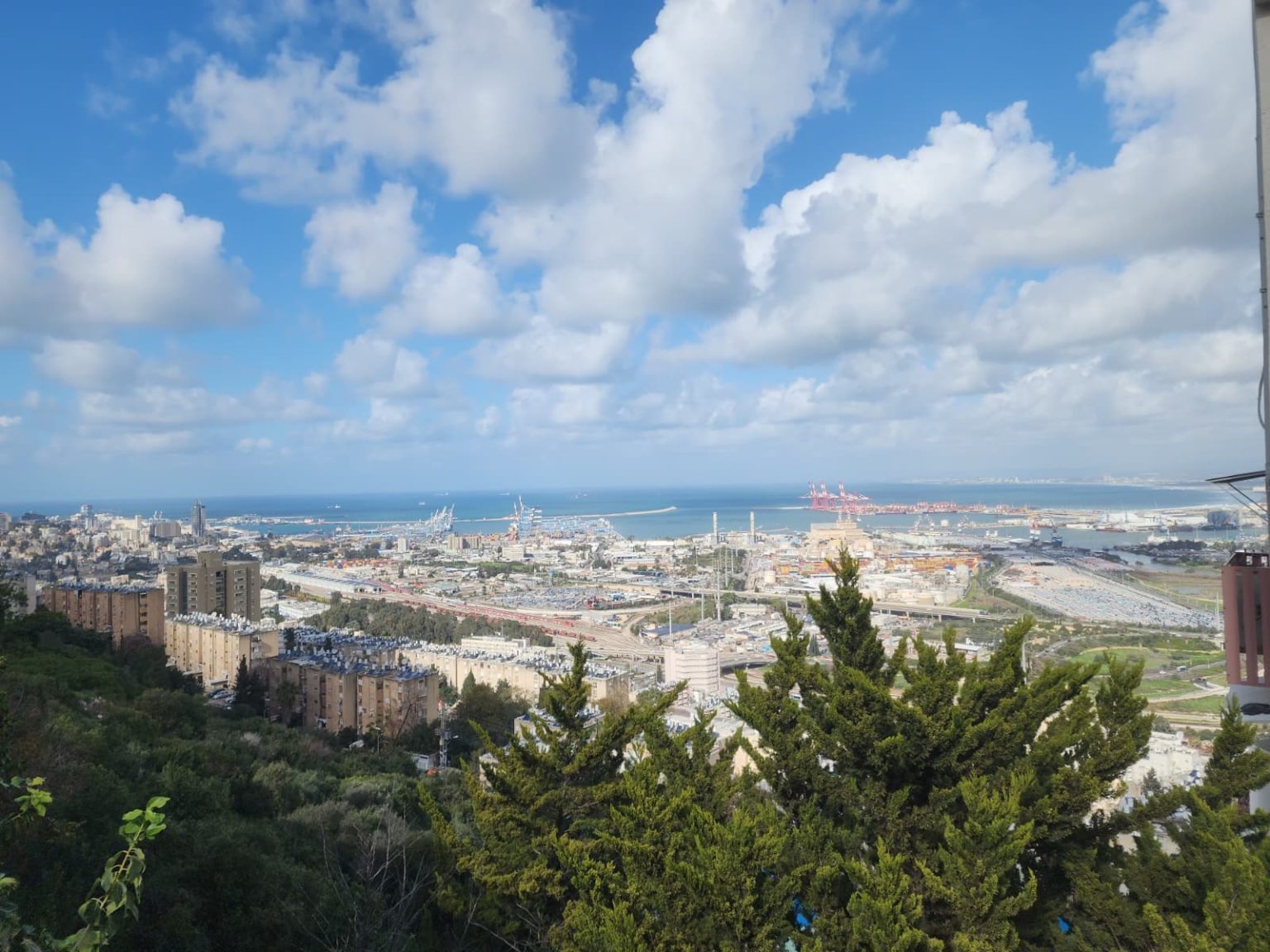 WhatsApp Image 2026-02-08 at 10.15.40 (1)