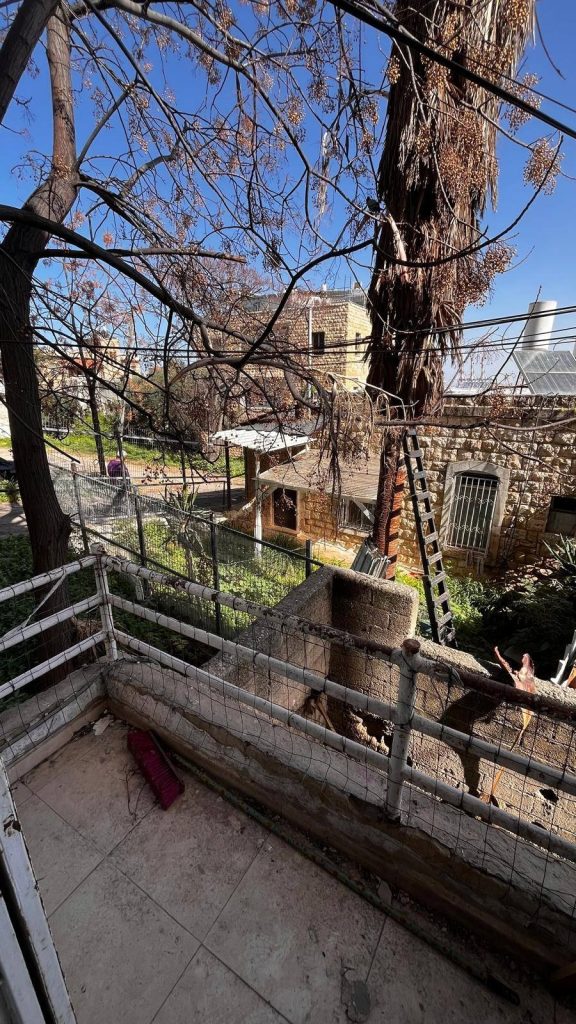 WhatsApp Image 2026-02-22 at 12.53.23 (2)