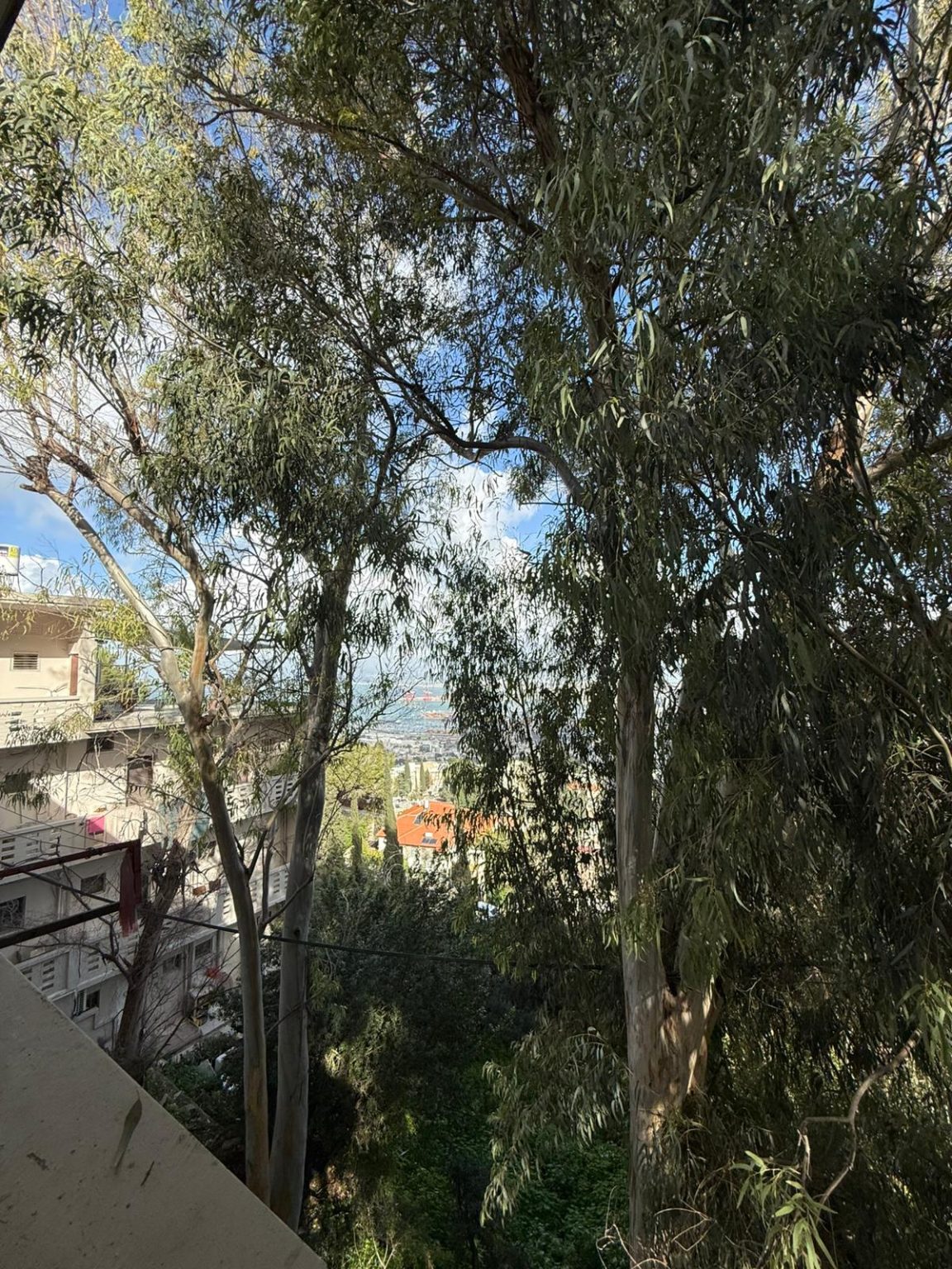 WhatsApp Image 2026-02-05 at 14.28.17 (4)