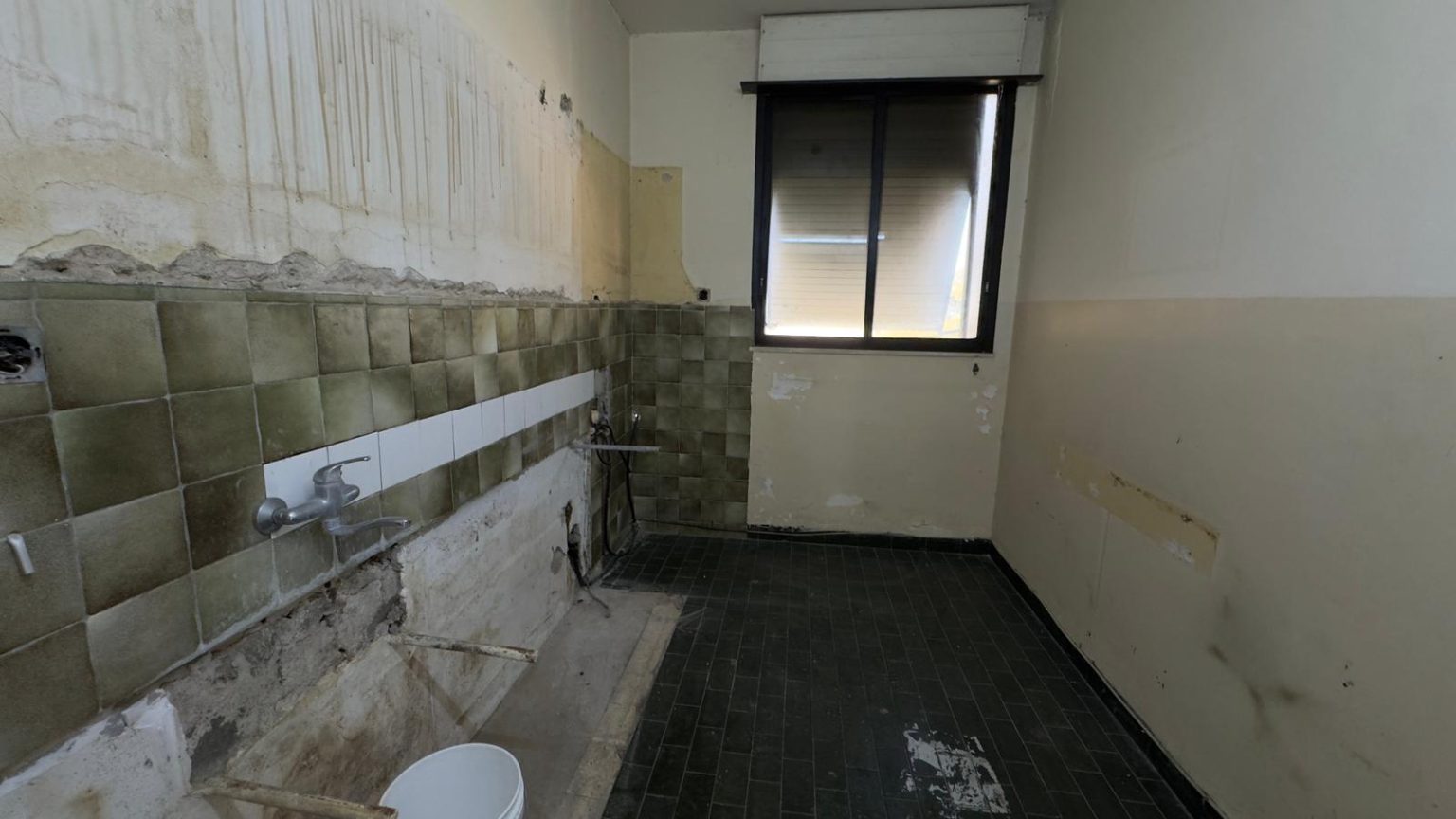 WhatsApp Image 2026-03-11 at 15.49.57 (1)