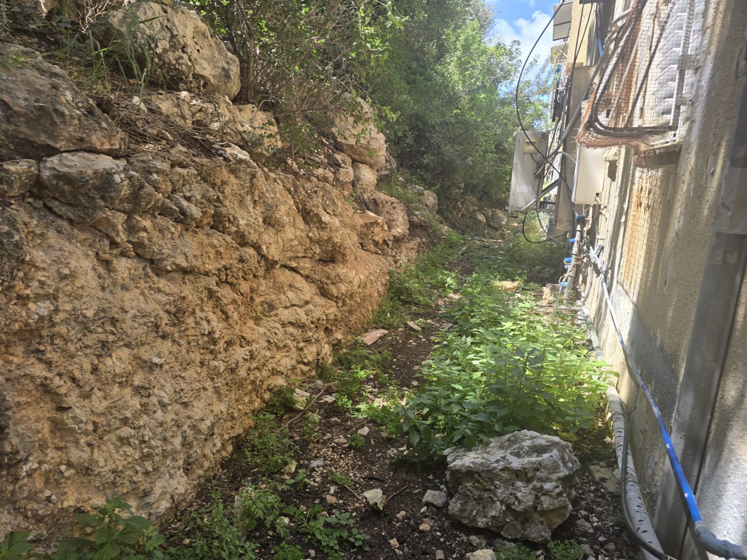 WhatsApp Image 2026-04-21 at 12.26.29 (4)