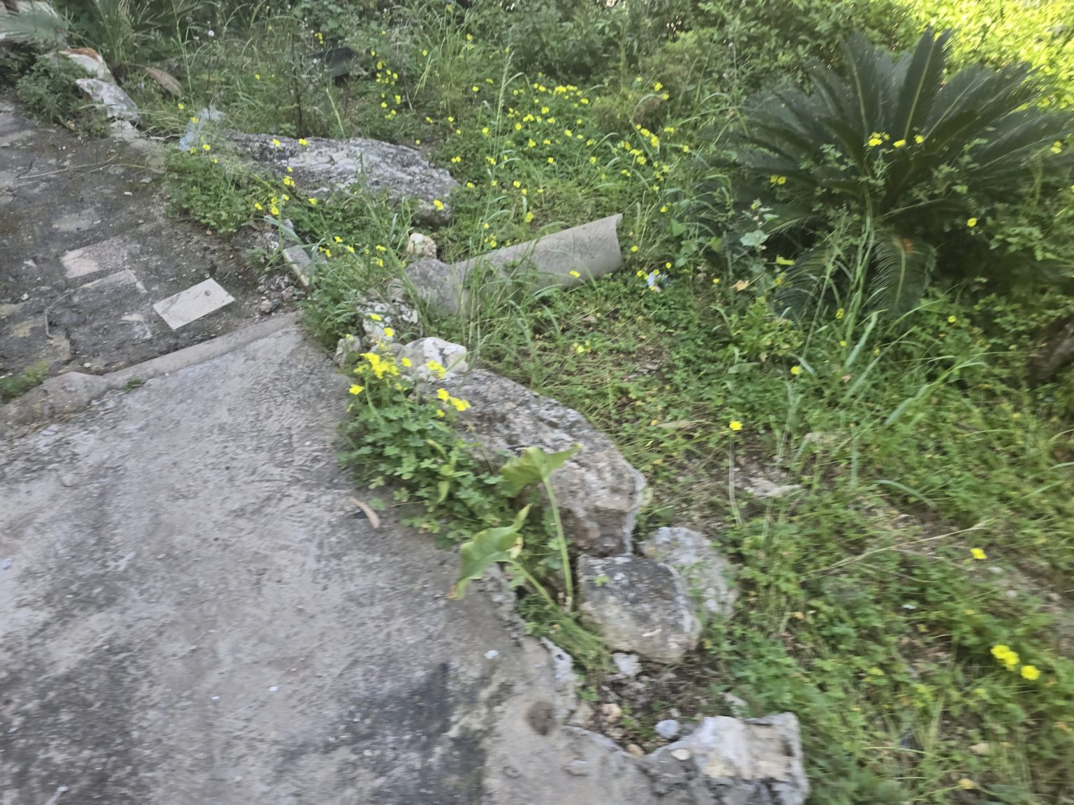 WhatsApp Image 2026-04-21 at 12.26.29 (6)