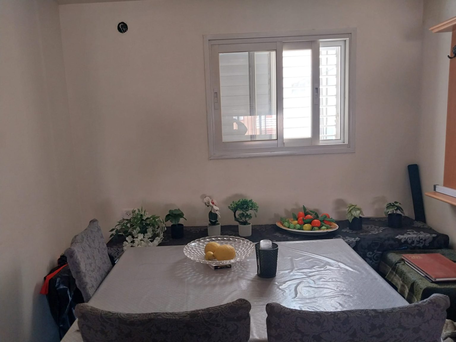 WhatsApp Image 2026-04-28 at 17.04.16 (1)